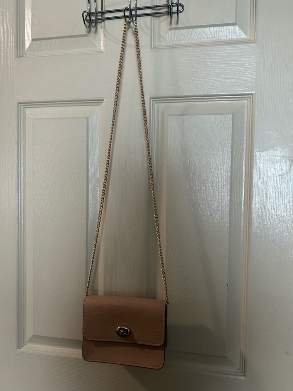 Mini Classic Crossbody Bag in Dusty Rose with Gold Hardware - Picture 4 of 4
